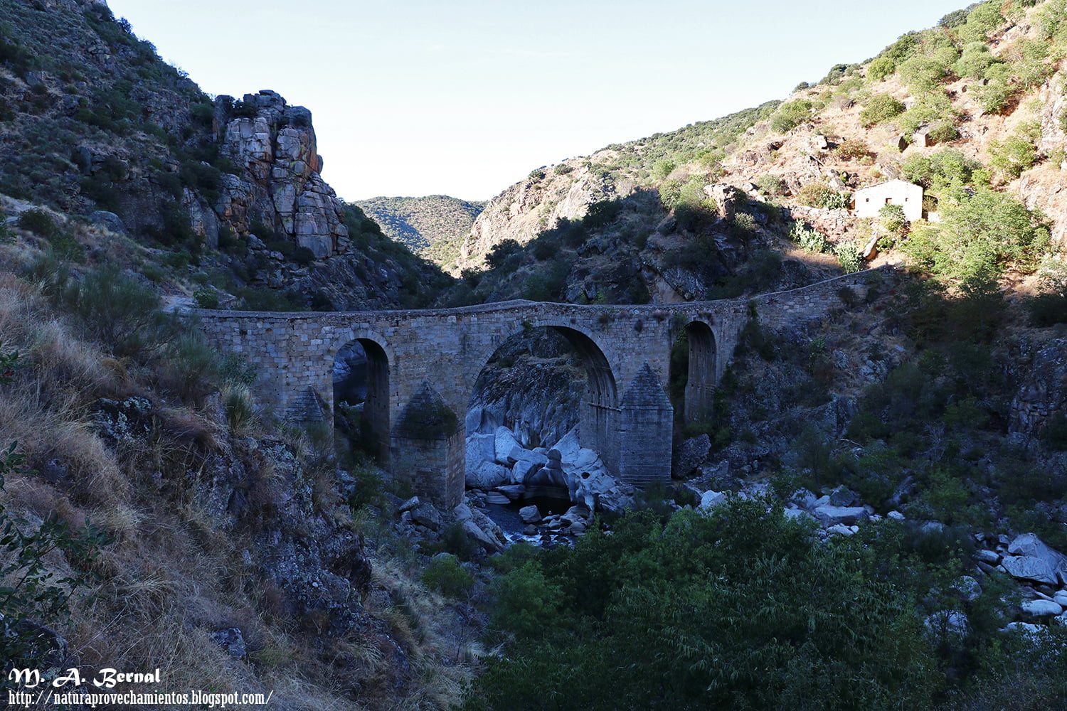 Puente los Franceses