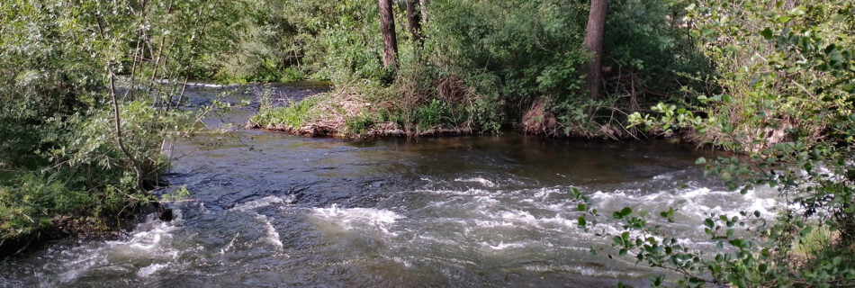 Río Águeda