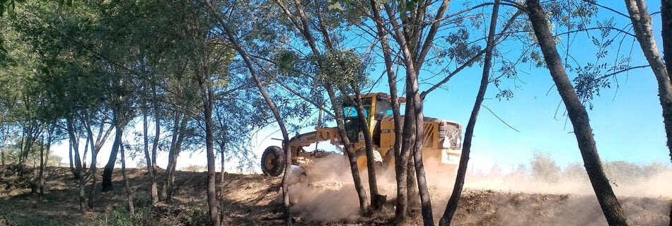 Aprovechamientos forestales