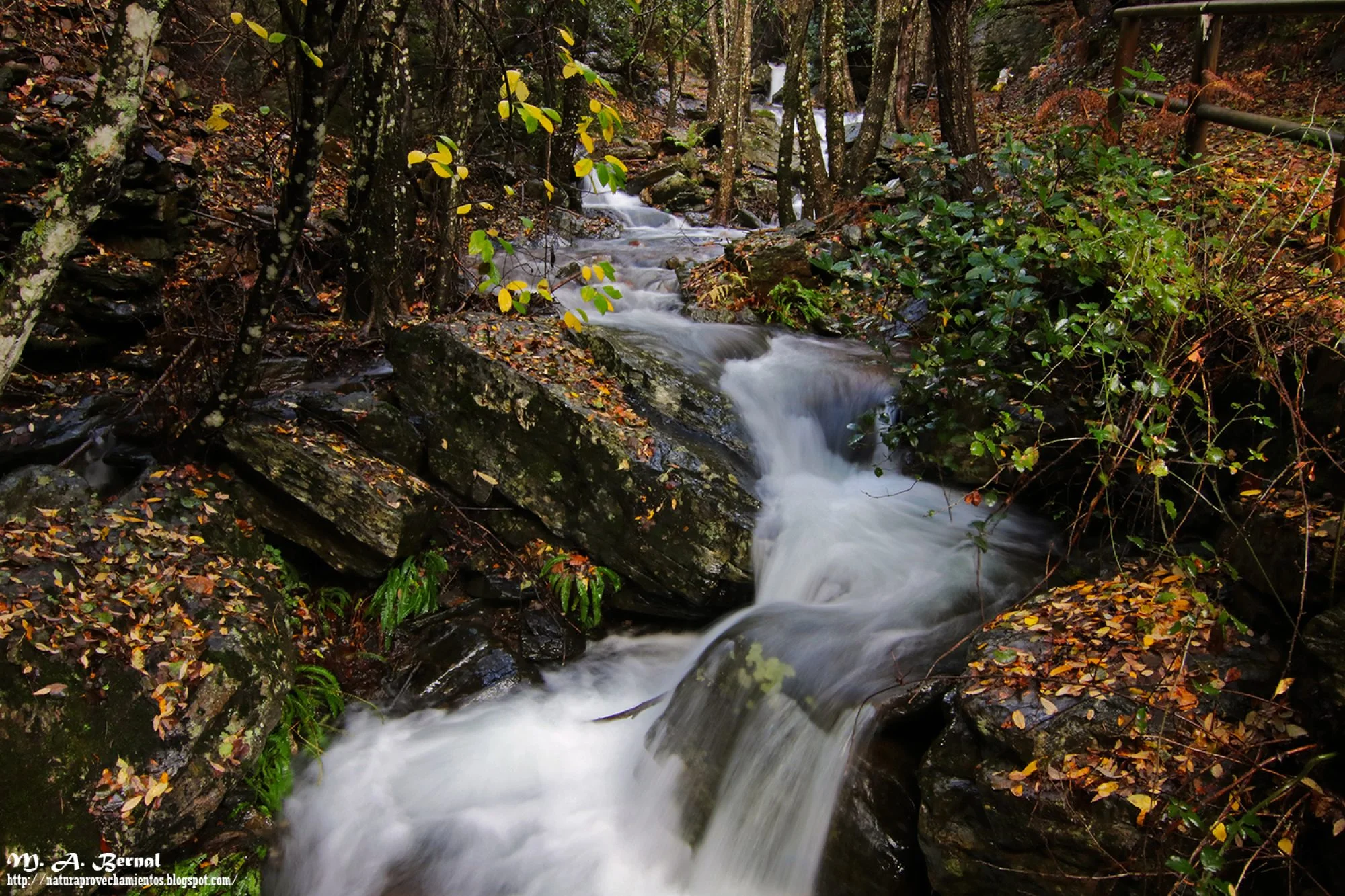 Cascadas Salamanca