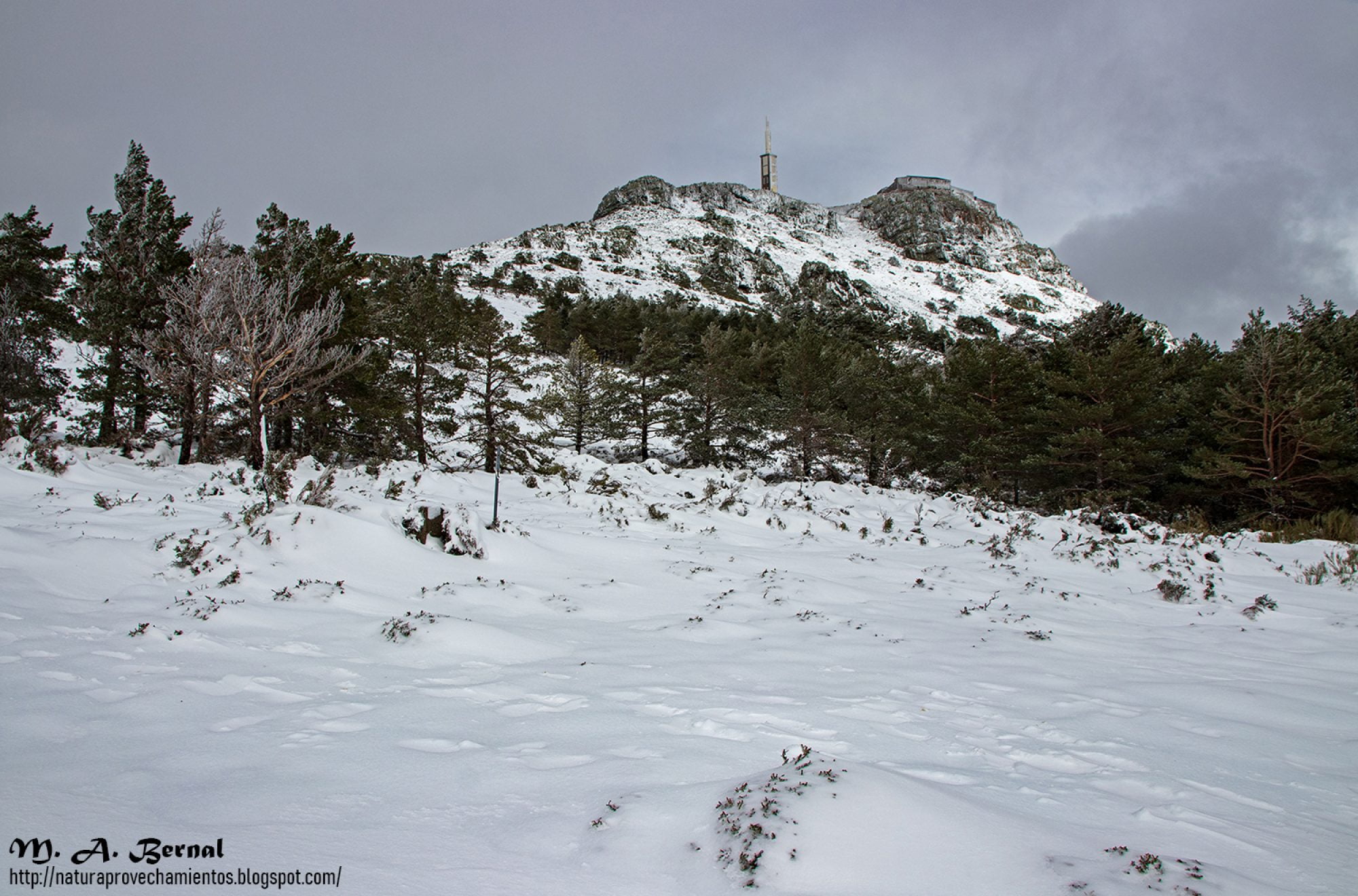 Nieve Peña Francia