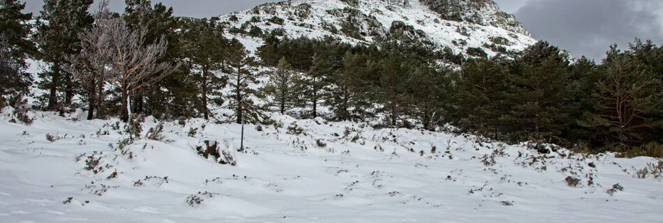 Nieve Peña Francia