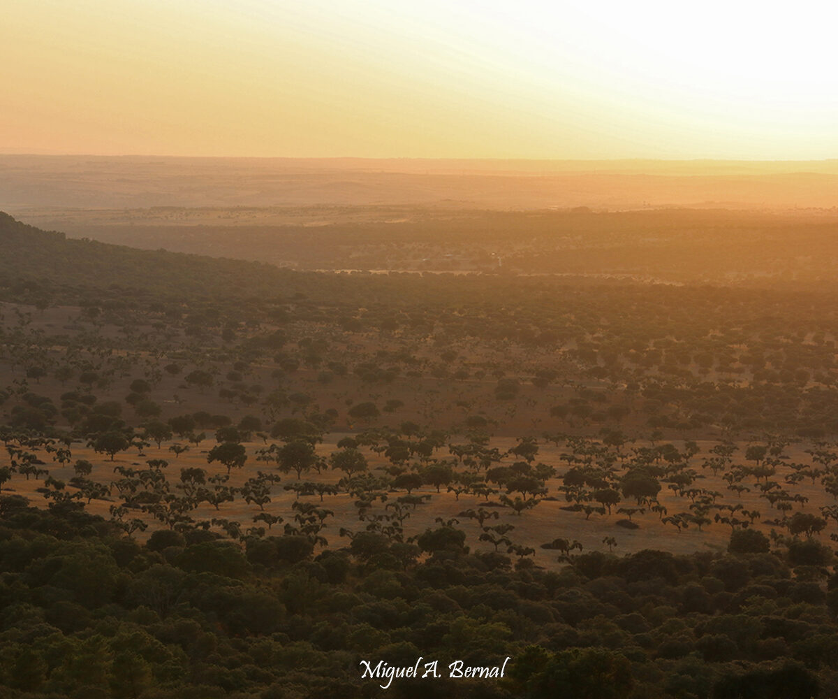 Atardecer Sierra de Camaces