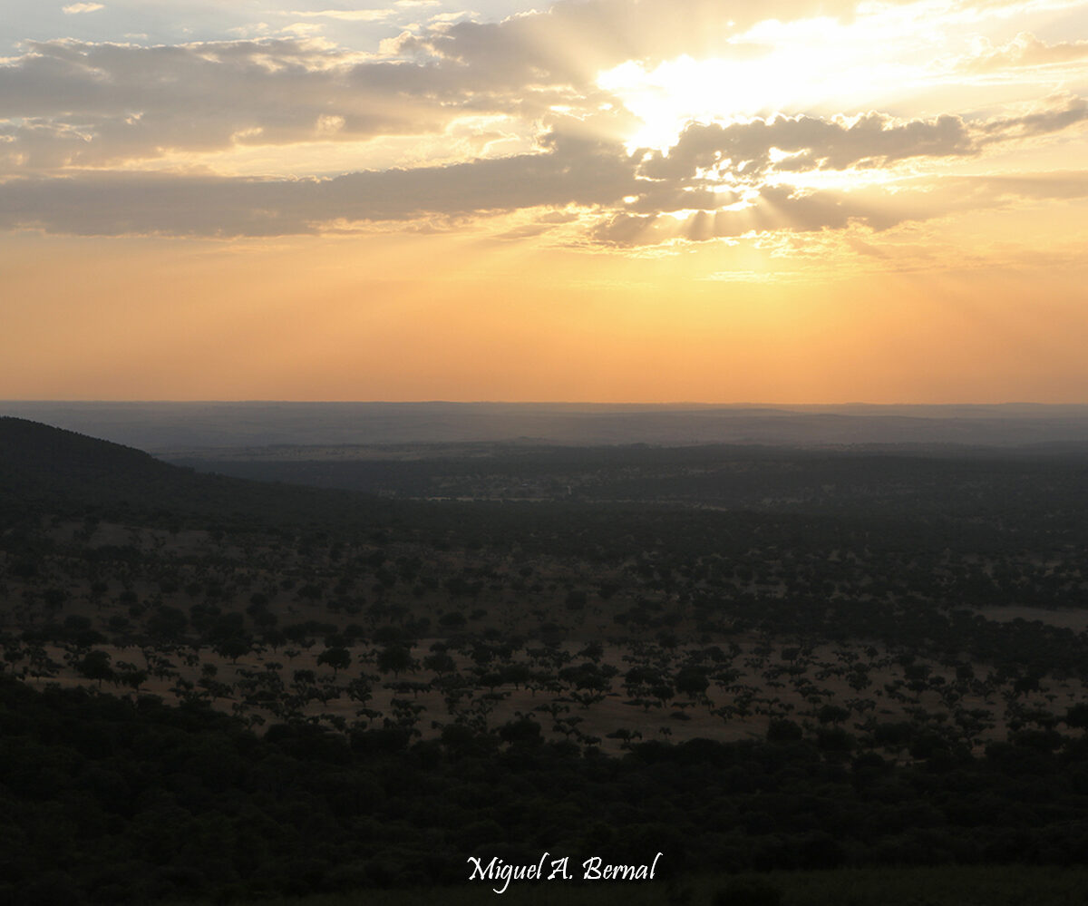 Atardeceres Salamanca