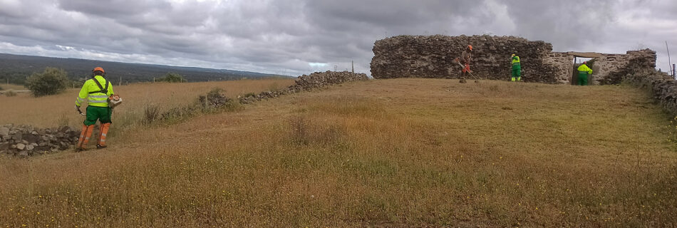 Desbroces taller de empleo