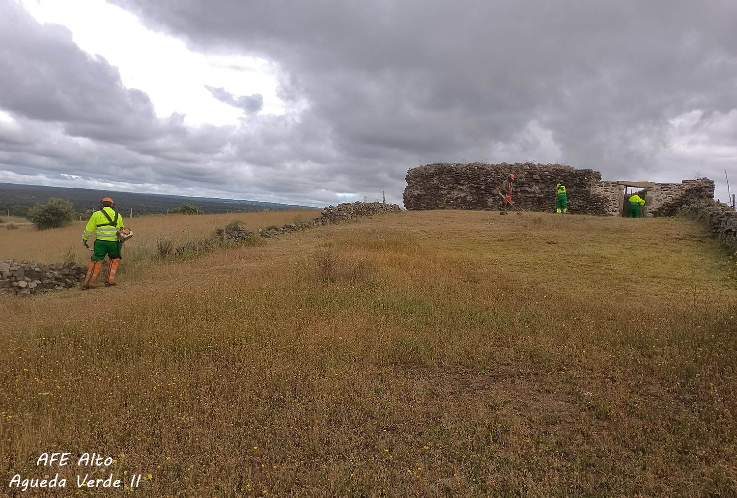 Desbroces taller de empleo