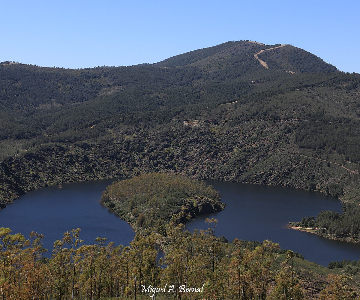 Meandro Alagón Sotoserrano