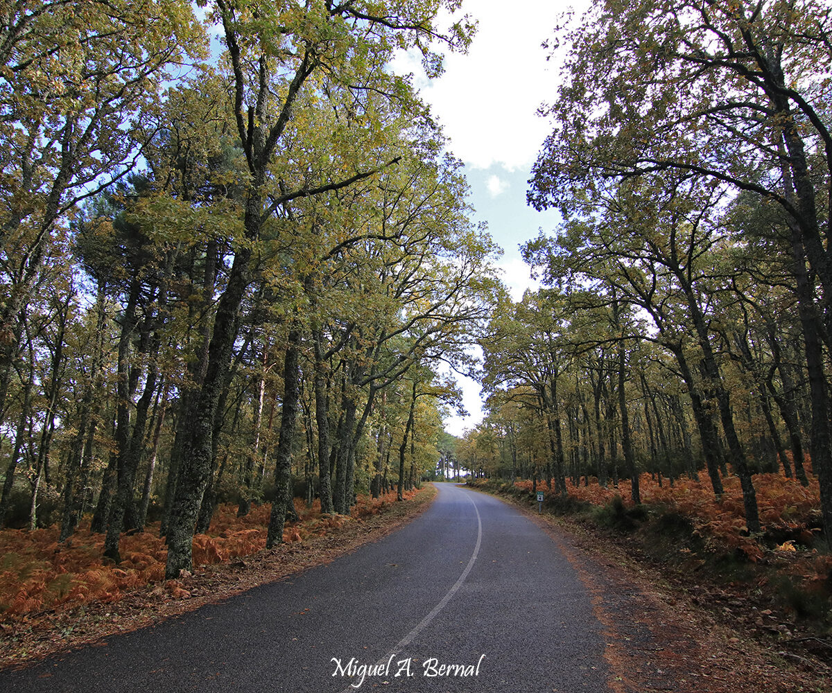 Otoño Peña de Francia