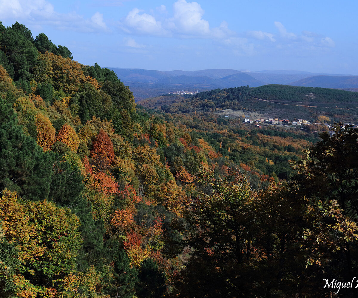 Otoño en Bosques Sierra de Francia