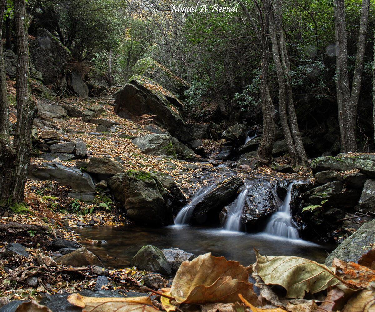 Ruta Valle de Belén