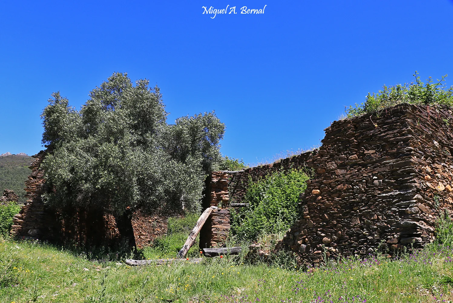 Casas en ruinas