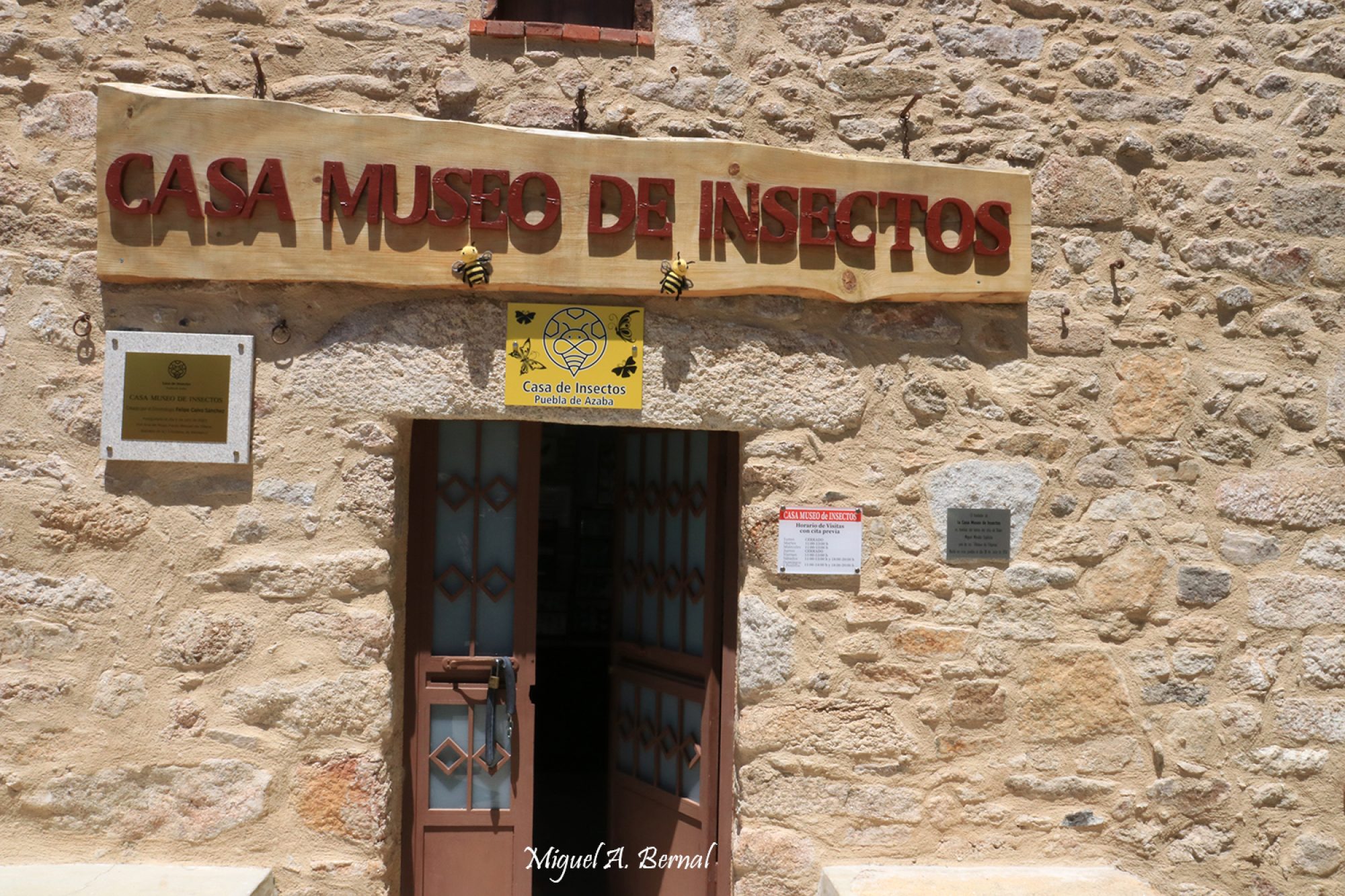 Casa museo de Insectos