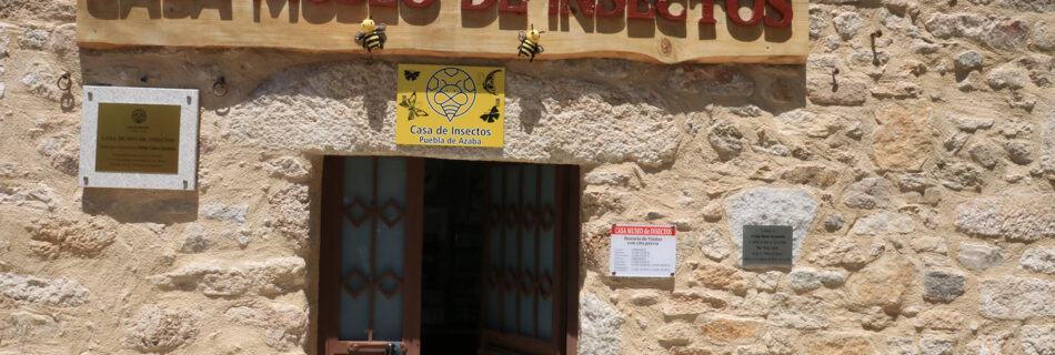 Casa museo de Insectos
