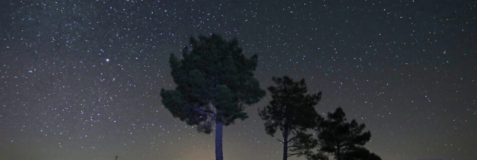 Mirador de las carrascas