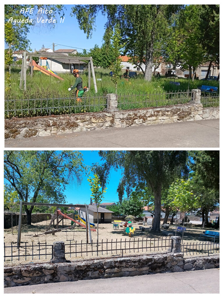 Desbroce del parque