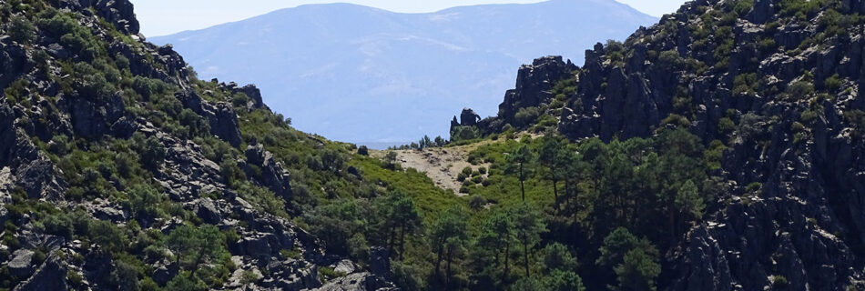 Portilla Bejarana Torrita