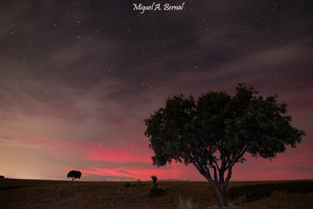 Aurora boreal en dehesa de encinas