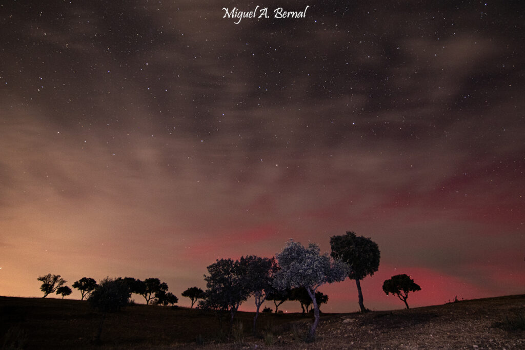 Auroras boreales en dehesa Salamanca