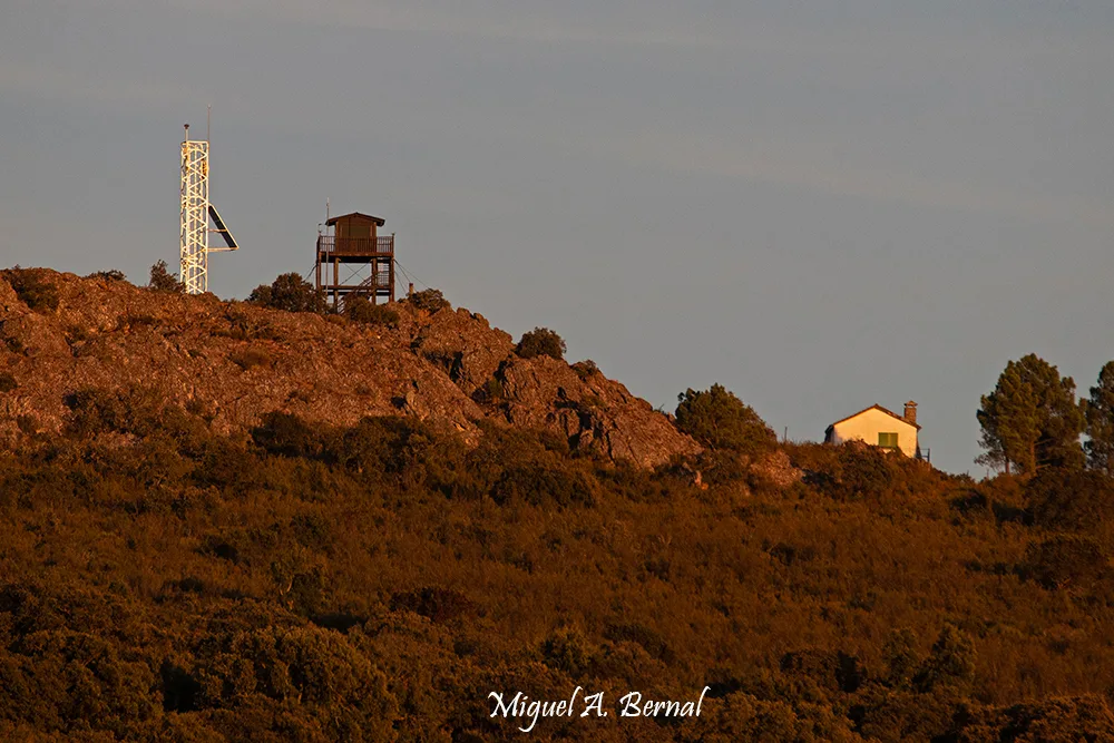 Torre y camara de Vigilancia Incendios