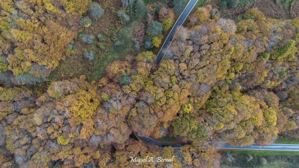 Carretera Mirador Tapla
