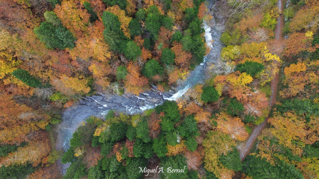 Que ver en Irati otoño