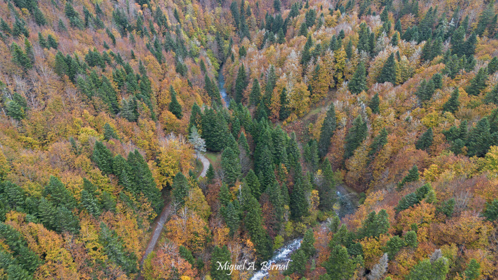 Rutas Irati