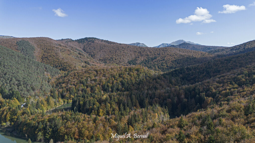 Vistas del hayedo Abetal