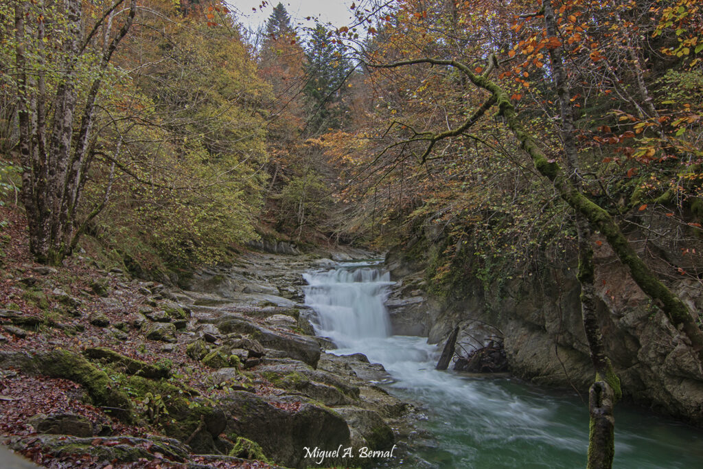 Cascada de el cubo Selva de Irati