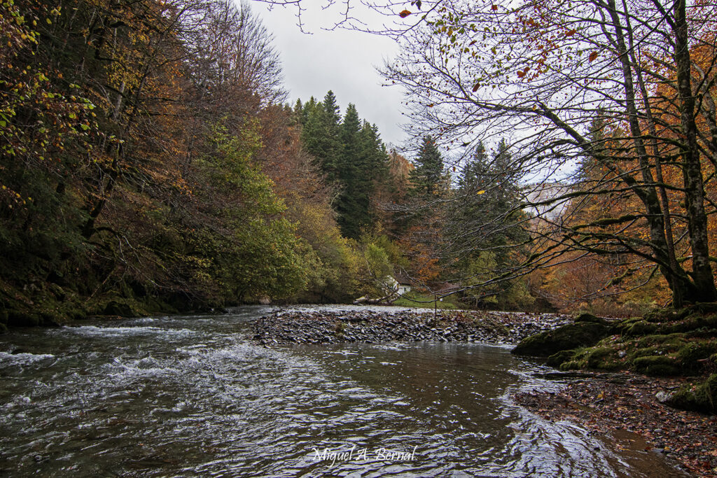 Rio Salazar en Irati Navarra