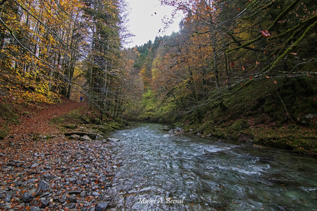 Rio salazar en la otoñada