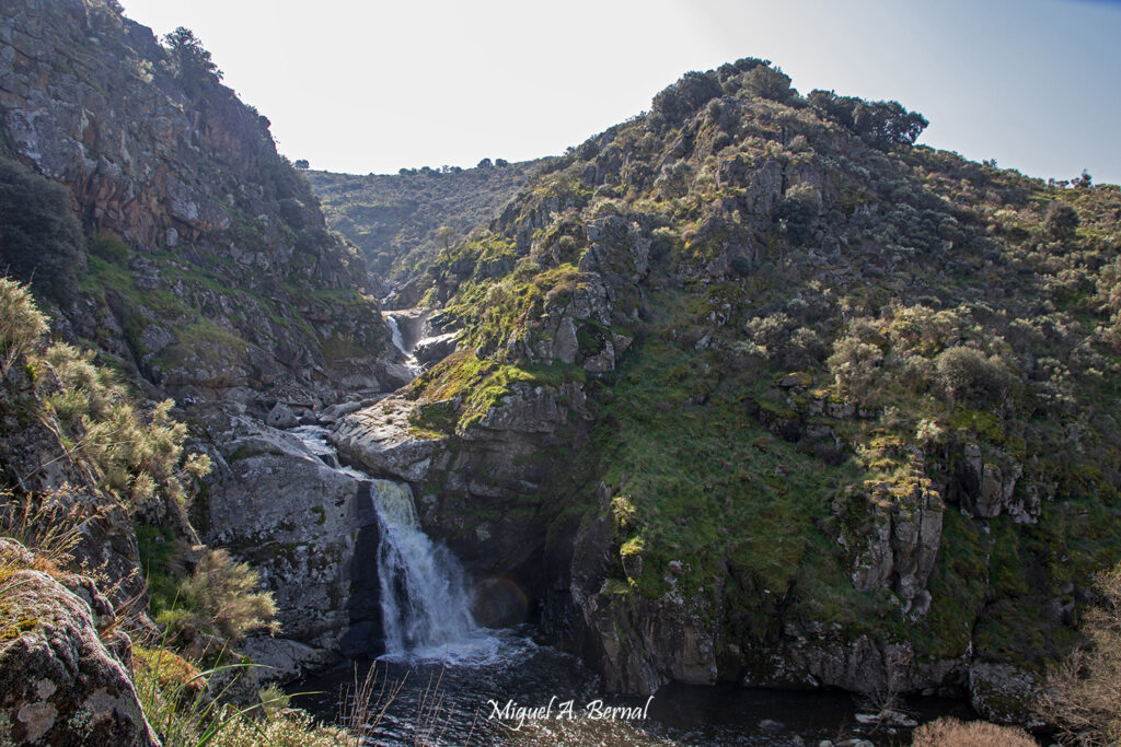 Cachoneras del Río Camaces Hinojosa de Duero