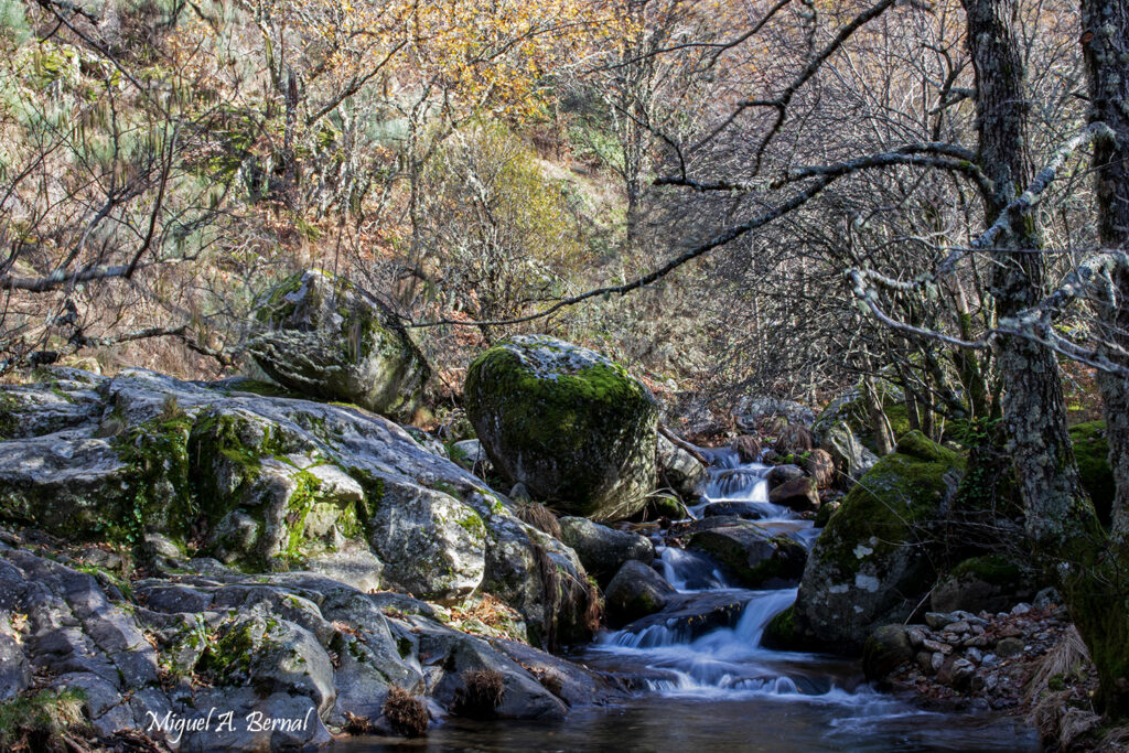 Cascada chorrera Hervás otoño
