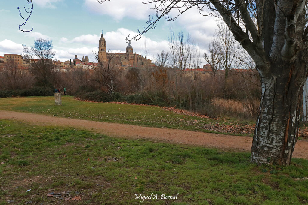 Catedral de Salamanca desde Isla del Tormes