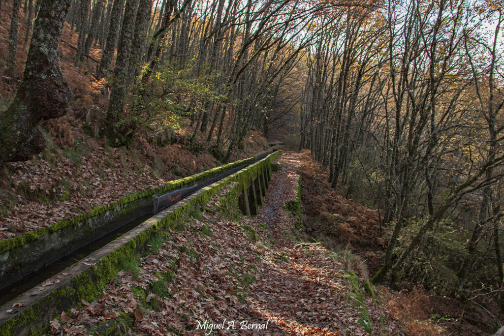 Mejores colores de otoño canal agua Hervas