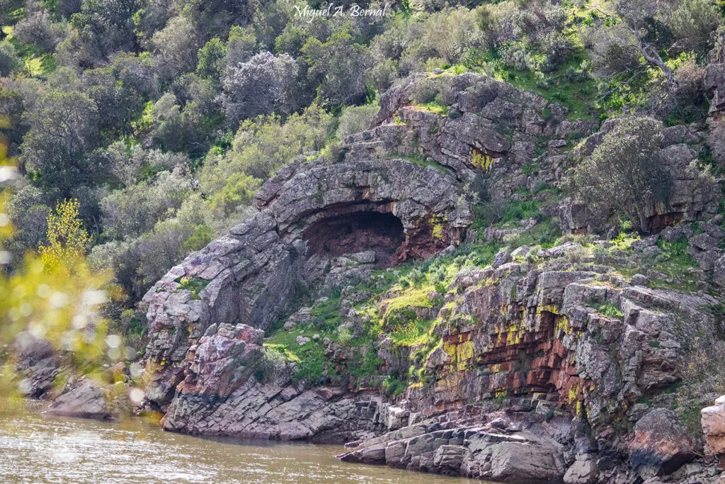 Parque Nacional de Monfragüe Dehesas y cuarcitas