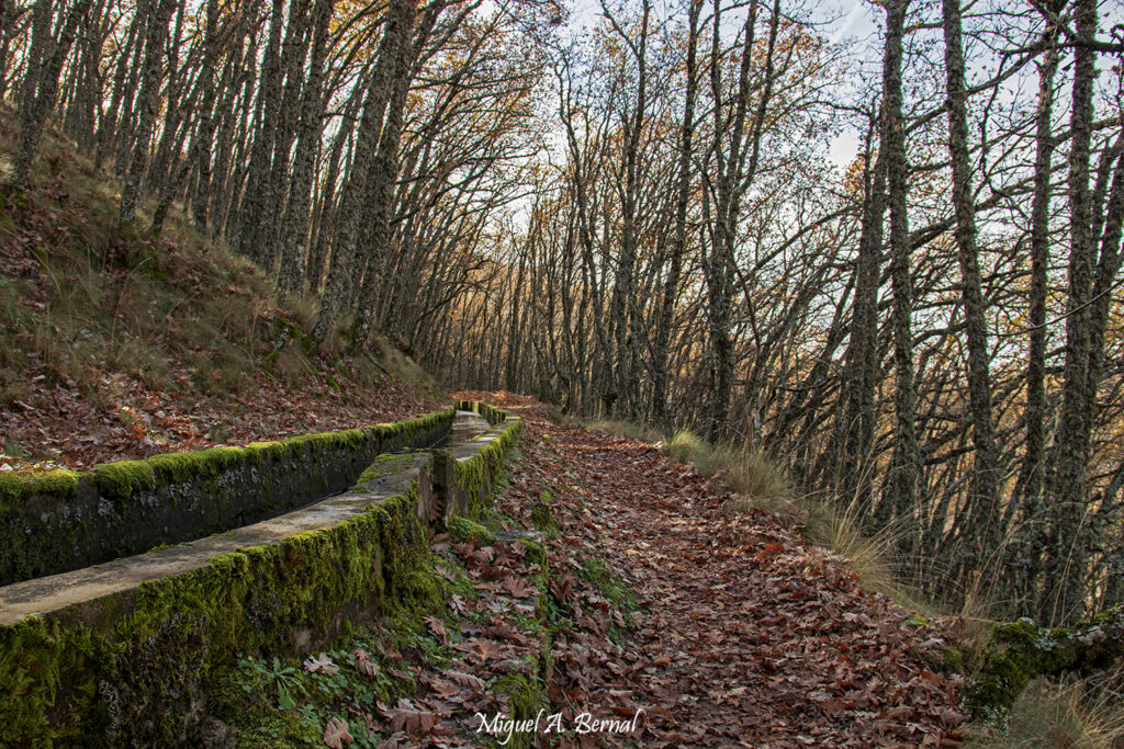 Vuelta del sendero a cascada