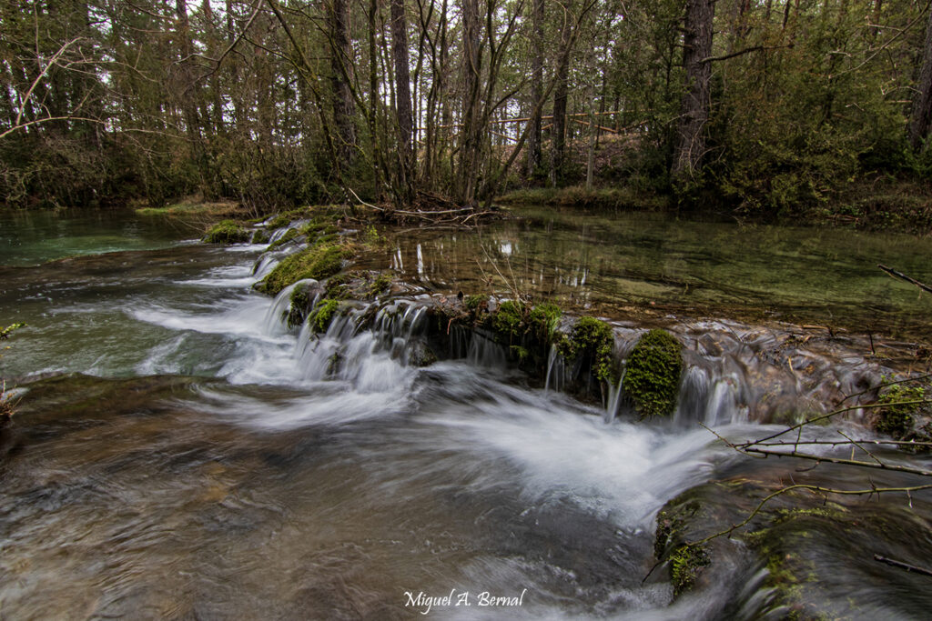 Agua y bosques Rio Cuervo La Mancha
