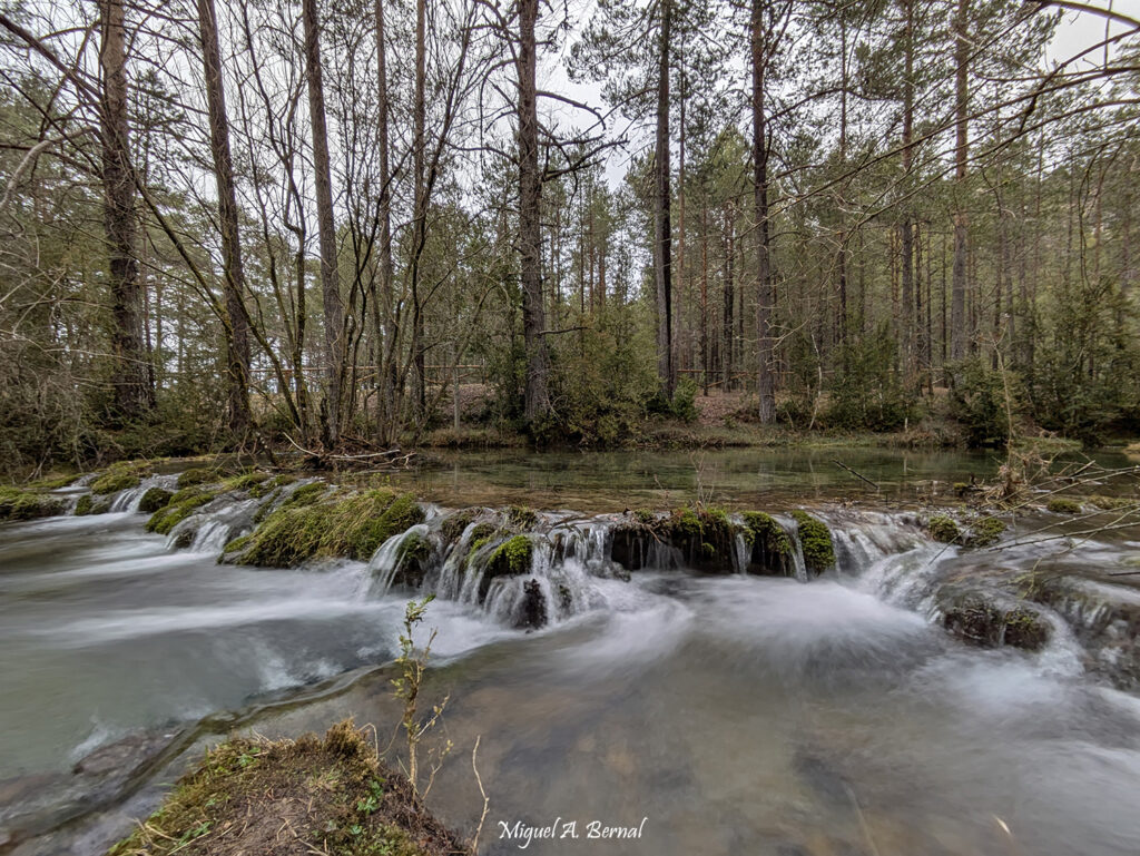 Bosques y lugares que visitar en Cuenca