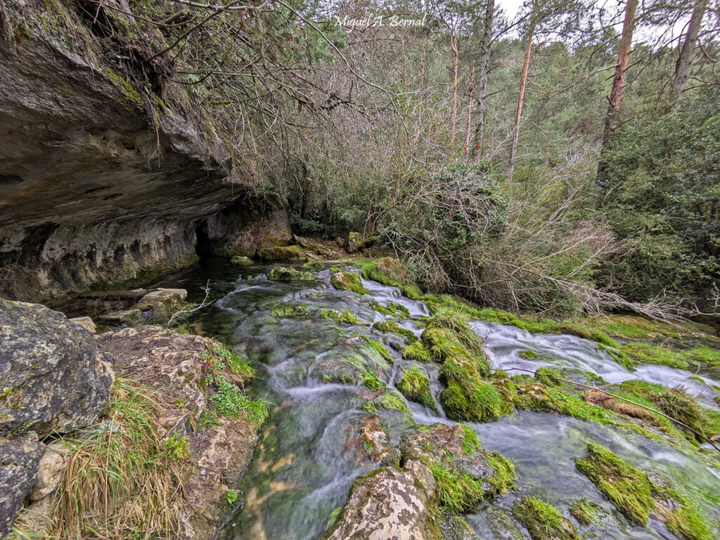 Nacimiento Rio Cuervo Rocas Calizas