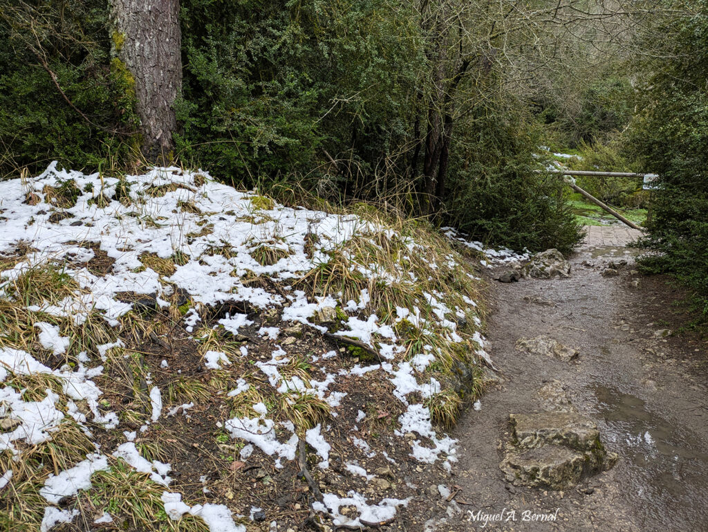 Nacimiento Rio Cuervo con Nieve