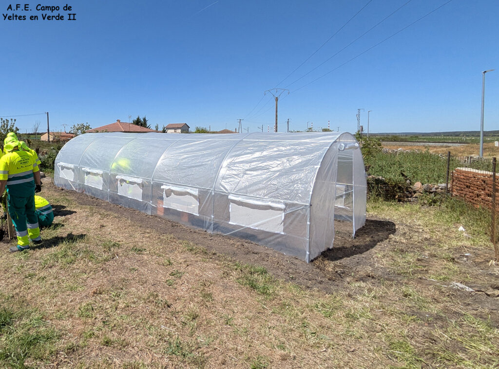 Preparación de Invernadero y planta
