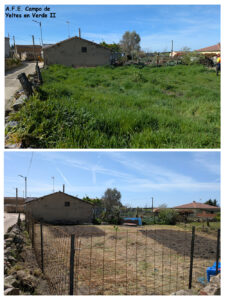 Preparación de zona de trabajo y huerto