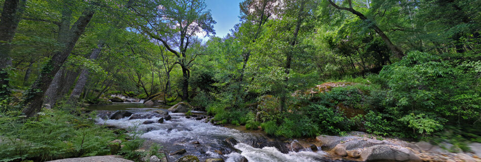 Área recreativa Peñalvo Casas del Conde