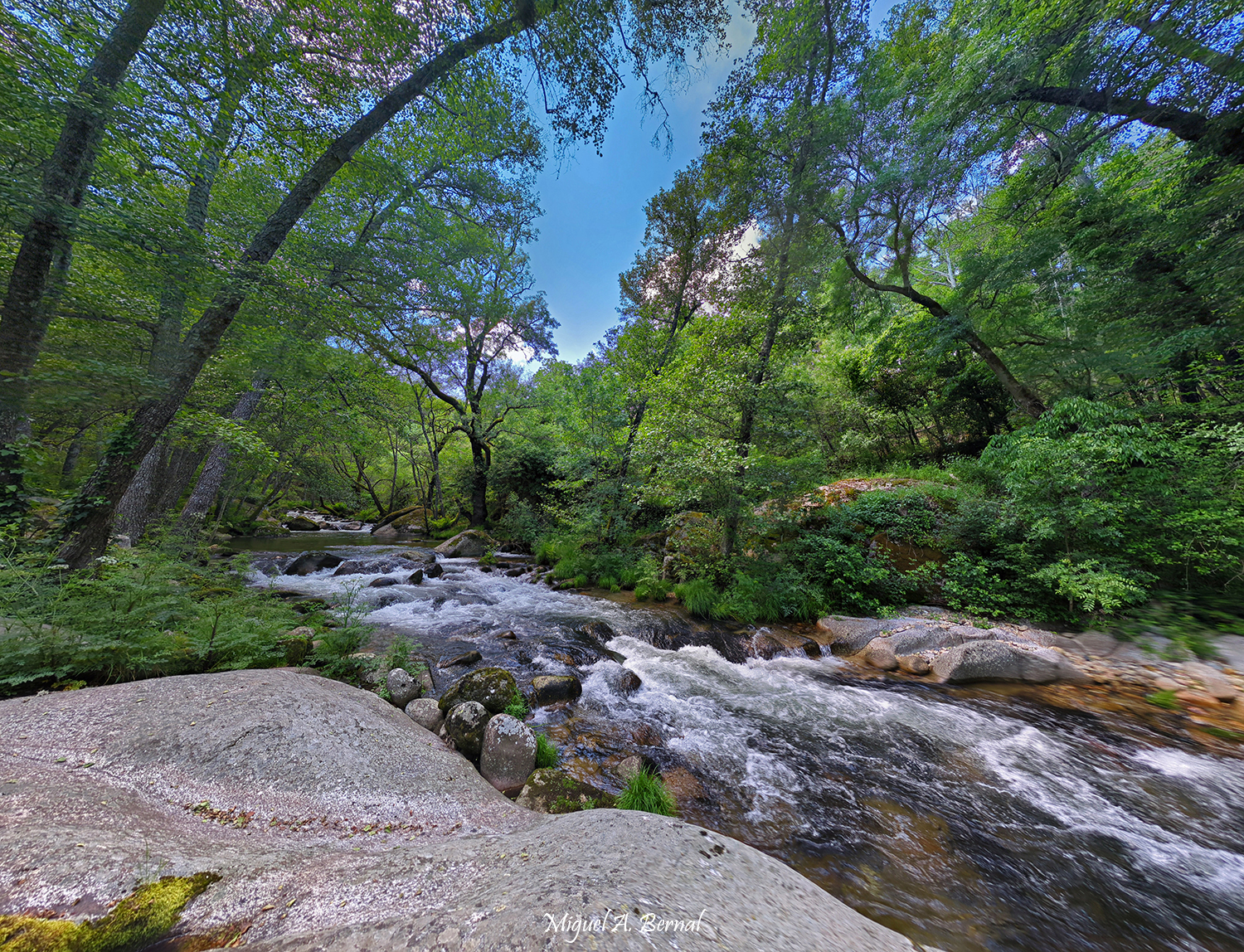 Área recreativa Peñalvo Casas del Conde