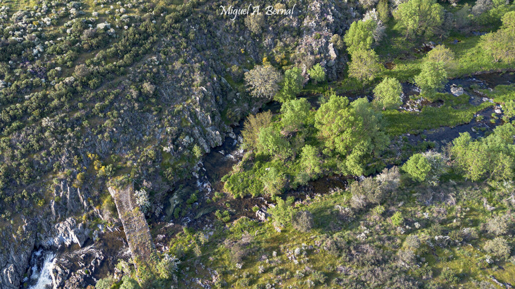 Dron puente romano Martiago