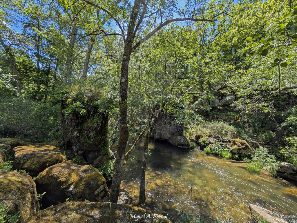 Molinos en el Río Francia Senderismo