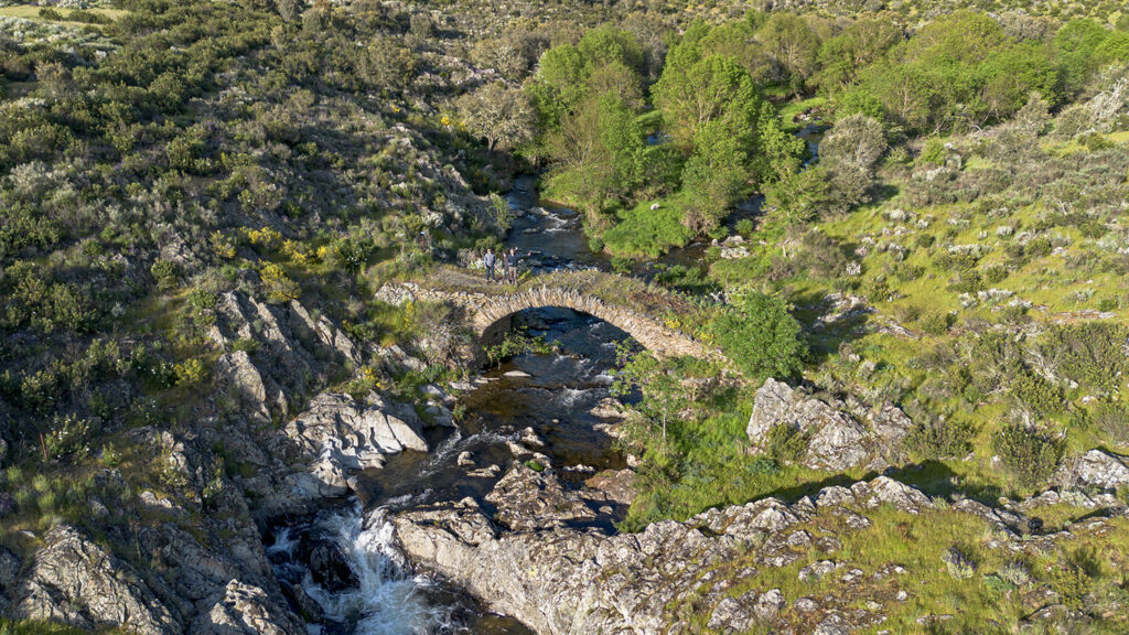 Puente gatos rio burguillos