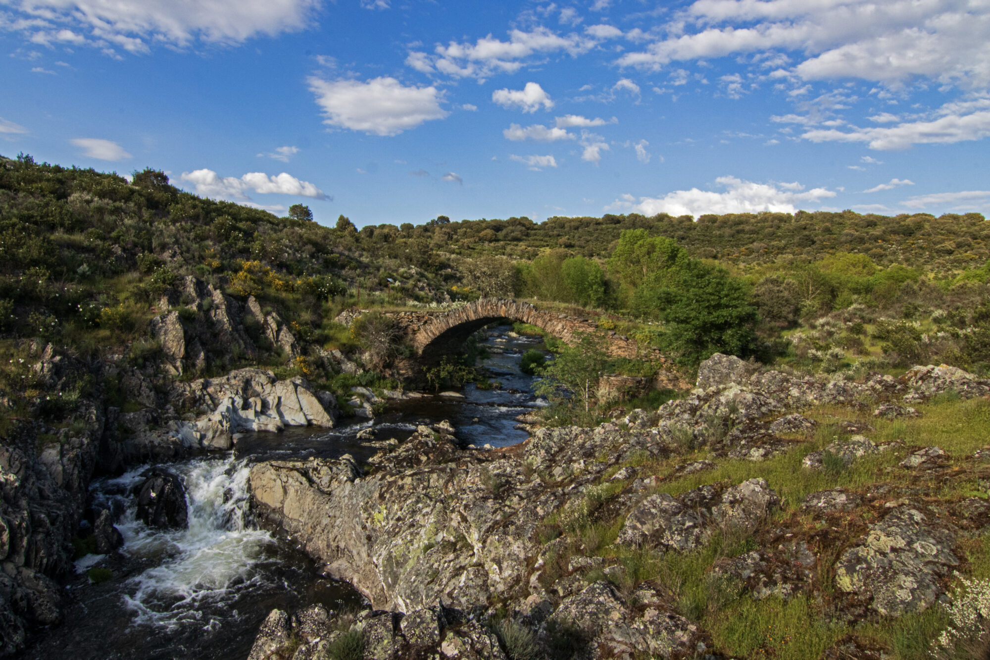 Puente gatos y cascada Martiago Villarejo