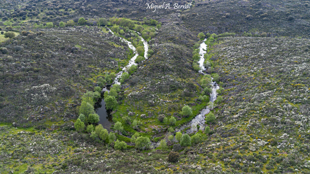 Rio Burguillos Martiago y Villarejo