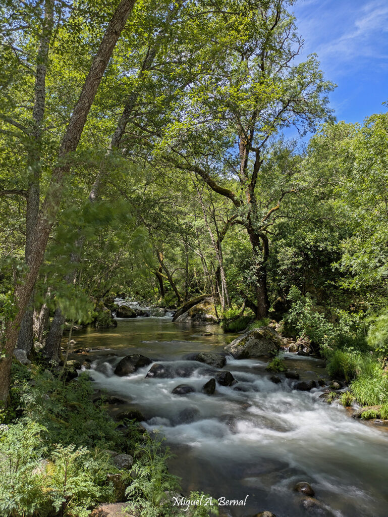 Rio Francia Área Recreativa Peñalvo